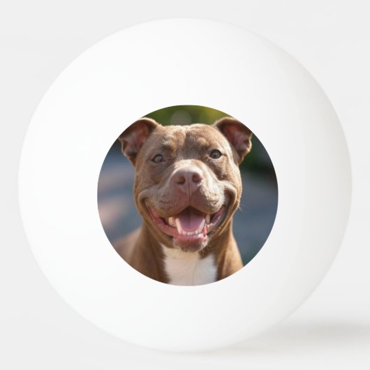 Pit Bull Photoを追加カスタマイズ 卓球ボール (正面)