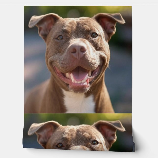 Pit Bull Photoを追加カスタマイズ 壁紙 (ほどく)