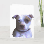 Pit Bull Valentine Add your Personal Message シーズンカード (裏面)