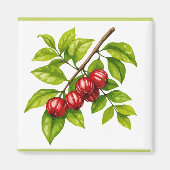 Pitangueira マグネット (正面)