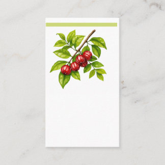 Pitangueira e Saí-andorinha (Tersina viridis) 名刺