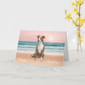 Pitbull Dog Sitting on Beach sunset Birthday カード (黄色い花)