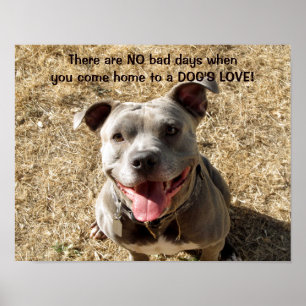 Pitbull Smiling Dog's Love Poster ポスター