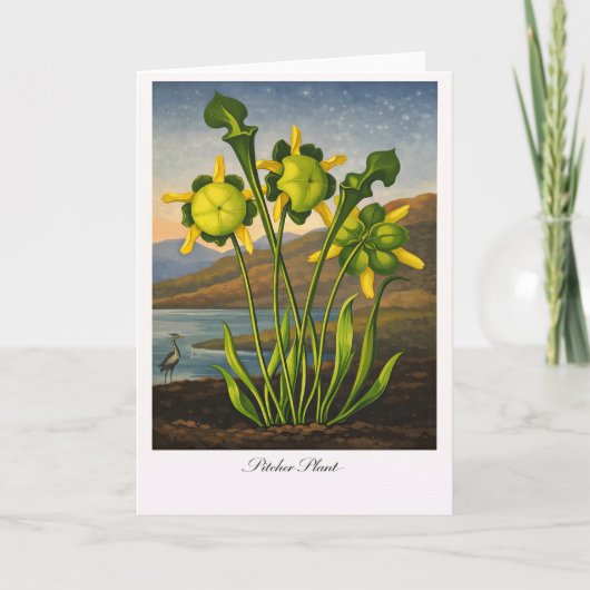Pitcher Plant — Modern Botanical Reinterpretation カード (正面)