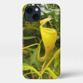 Pitcher Plant Nepenthes Carnivorous Nature Photo iPhoneケース (裏面)