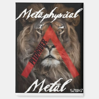 PitDriverロゴ磁石 マグネット