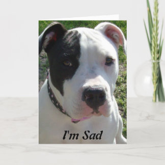 Pittbull犬が付いている遅れてバースデー・カード カード