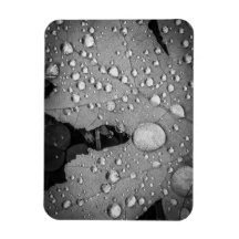 Pitter Patter -- 3インチx 4インチフレキシブルフォトマグネット