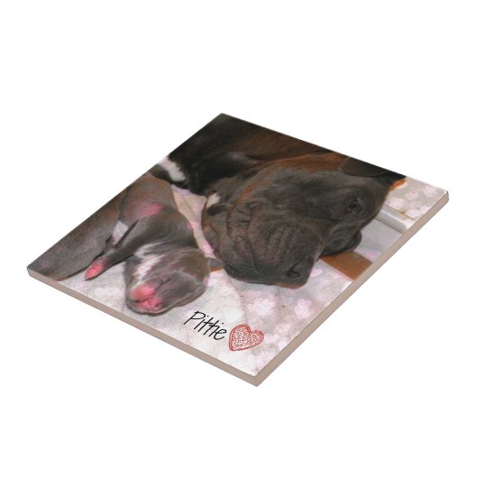 Pittie愛 タイル (側面)