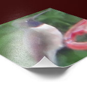 Pixに関連するハミング鳥の写真 フォトプリント (角)