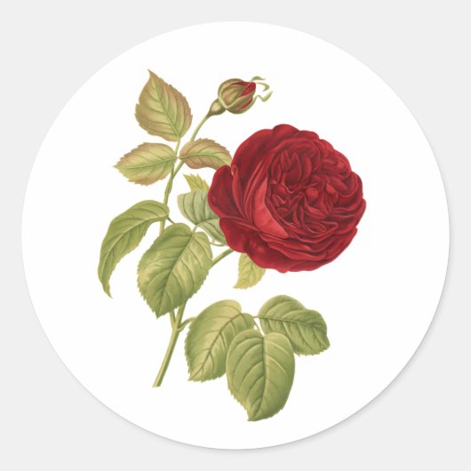 PixDezineヴィンテージビクトリアンレッドローズ ラウンドシール (正面)