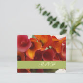 PixDezinesがオレンジ色のカラユリを燃やした 出欠カード (スタンド正面)