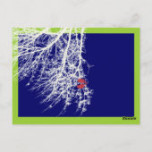 PixDezinesのスノーバード テーブルカード (裏面)