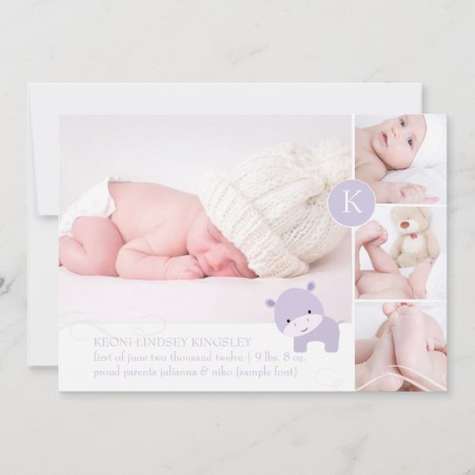 PixDezinesのピンクのヒポポタマス/DIYアクセントカラー 案内状 (正面)