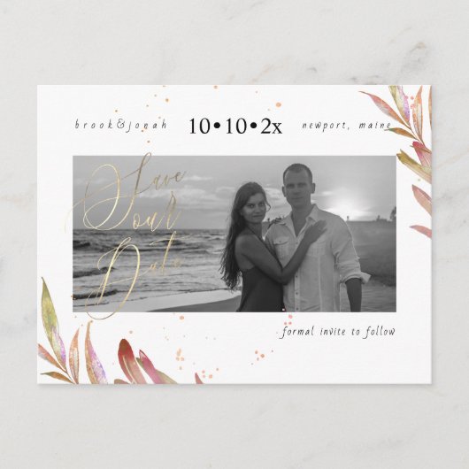 PixDezinesの秋救の葉の日 ポストカード (正面)