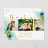 PixDezinesの結婚式のお礼/孔雀の羽根 案内ポストカード (正面/裏面)