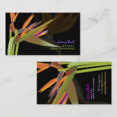 PixDezinesの鳥(パラダイス) 名刺 (正面/裏面)