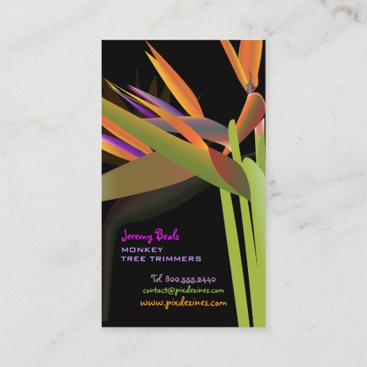 PixDezinesの鳥（パラダイス） 名刺 (裏面)