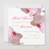 PixDezinesのOrchids/phalaenopsis/DIYの背景 招待状 (裏面)