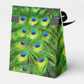 PixDezinesクジャクの羽 フェイバーボックス (裏面サイド)