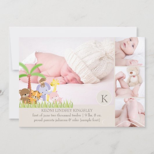 PixDezinesサファリジャングル写真テンプレート 案内状 (正面)