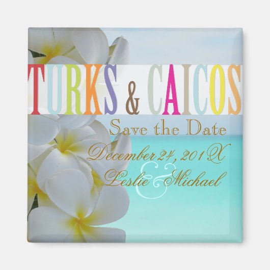 PixDezinesデ救ザイト・タークス、ビーチ+プルメリア マグネット (正面)