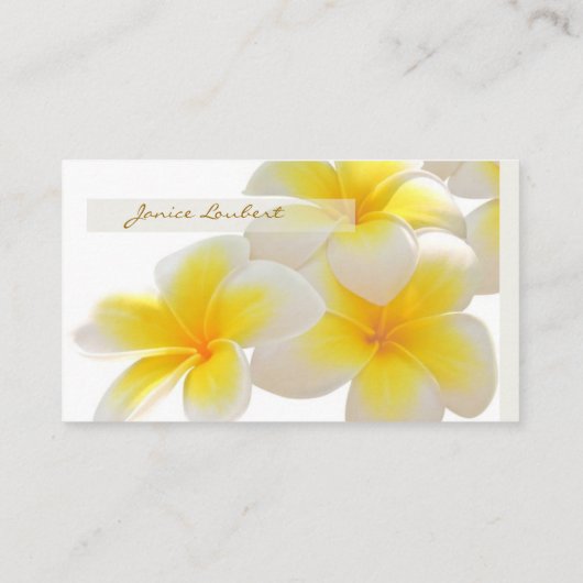 PixDezinesハワイプルメリア 名刺 (裏面)