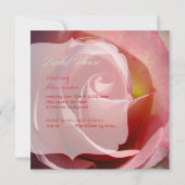 PixDezinesバラ、ピンク 招待状 (裏面)
