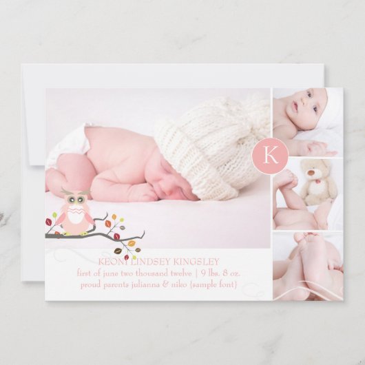 PixDezinesピンクのフクロウ/ディーアカントカラー 案内状 (正面)