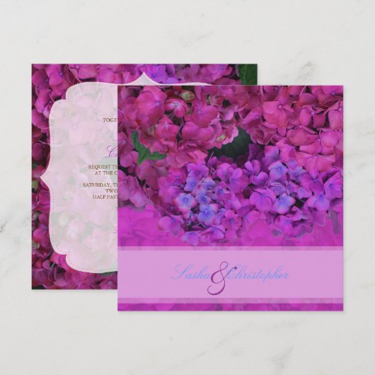 PixDezinesピンク/暗い赤紫色Hydrangea 招待状 (正面/裏面)