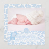 PixDezinesブルーレオパード+ゾウ 案内状 (正面/裏面)