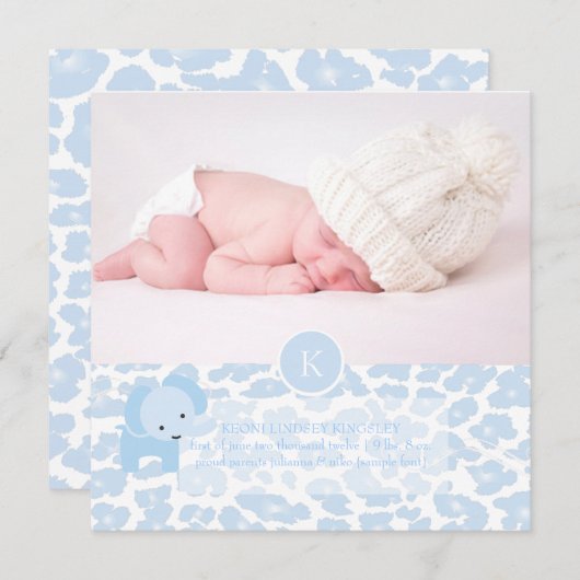 PixDezinesブルーレオパード+ゾウ 案内状 (正面/裏面)