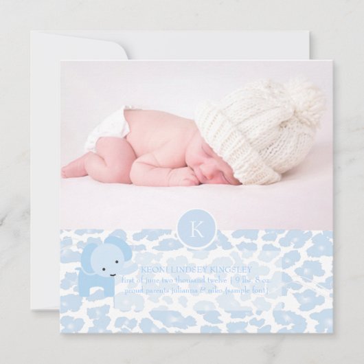 PixDezinesブルーレオパード+ゾウ 案内状 (正面)