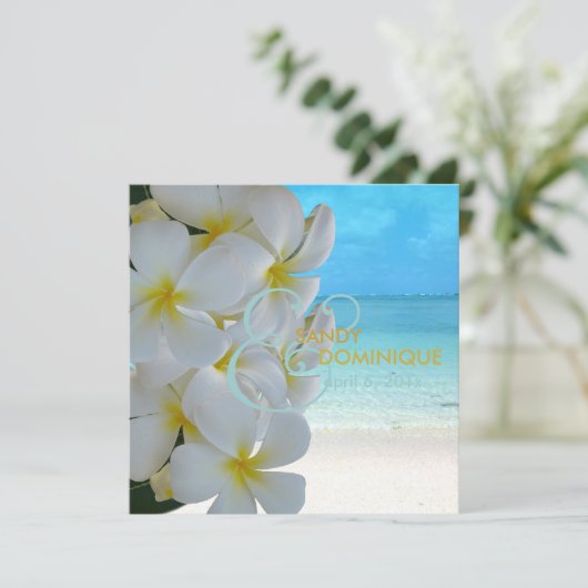 PixDezinesプルメリアレイ/ビーチ/熱帯結婚の 招待状 (スタンド正面)