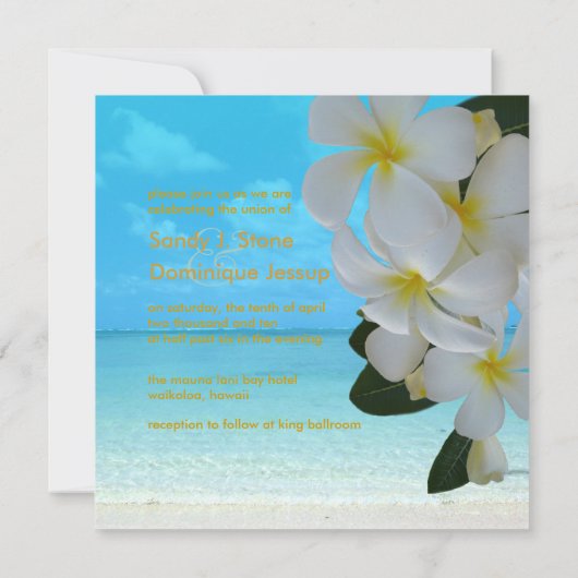 PixDezinesプルメリアレイ/ビーチ/熱帯結婚の 招待状 (裏面)