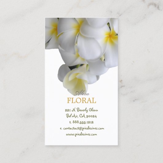 PixDezinesプルメリア+filigree渦/diy色 名刺 (裏面)