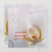 PixDezinesホワイトオーキッド |ピ淡い色のンク+白 招待状 (正面/裏面)