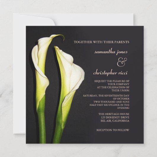 PixDezinesホワイトカラリリー結婚式招待状 招待状 (裏面)