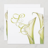 PixDezinesホワイトカラリー招待状/DIYカラー 招待状 (正面/裏面)