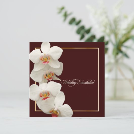 PixDezinesラン/ファレノプシス 招待状 (スタンド正面)