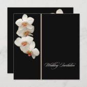 PixDezinesラン/ファレノプシス 招待状 (正面/裏面)