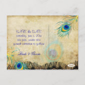 PixDezinesレースピーコック/DIYイベント+背景色 案内ポストカード (裏面)