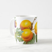 PixDezinesヴィンテージオーチャードイチジク、桃+プラム コーヒーマグカップ (正面左)