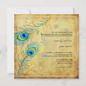 PixDezinesヴィンテージティール(緑がかった色)Peacock/Parchment 招待状 (裏面)