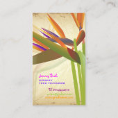 PixDezinesヴィンテージバードオブパラダ♥イ♥ス 名刺 (裏面)