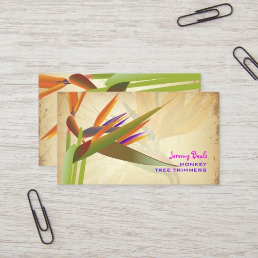 PixDezinesヴィンテージバードオブパラダ♥イ♥ス 名刺 (正面/裏面インサイチュ)