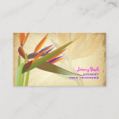 PixDezinesヴィンテージバードオブパラダ♥イ♥ス 名刺 (正面)