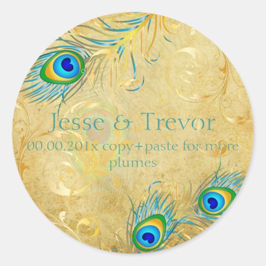 PixDezinesヴィンテージピッツピーコックフェザー ラウンドシール (正面)