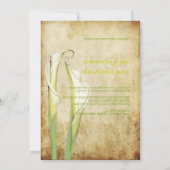 PixDezinesヴィンテージホワイトカラリリー 招待状 (裏面)