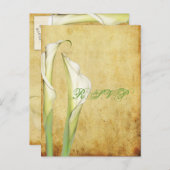 PixDezinesヴィンテージCalla Lily インビテーションポストカード (正面/裏面)